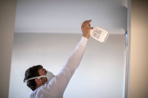 Best Mold Remediation for Specific Building Types in Holley, NY